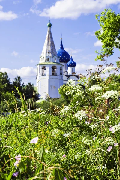 Rusia, Suzdal — Foto de Stock