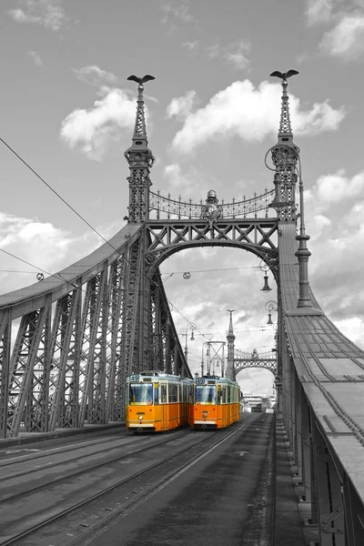 Мост Свободы Будапешт, Венгрия — стоковое фото