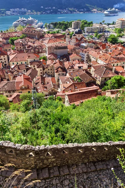 Eski Kotor şehir rooftops — Stok fotoğraf