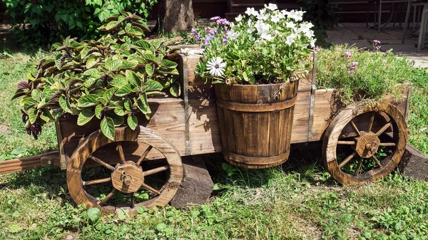 Belo carrinho de madeira com flores — Fotografia de Stock