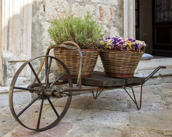 Velho carrinho de mão com cestas de flores — Fotografia de Stock