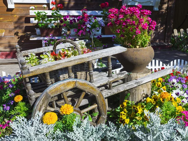Тролейбус з красивими квітами в саду — стокове фото