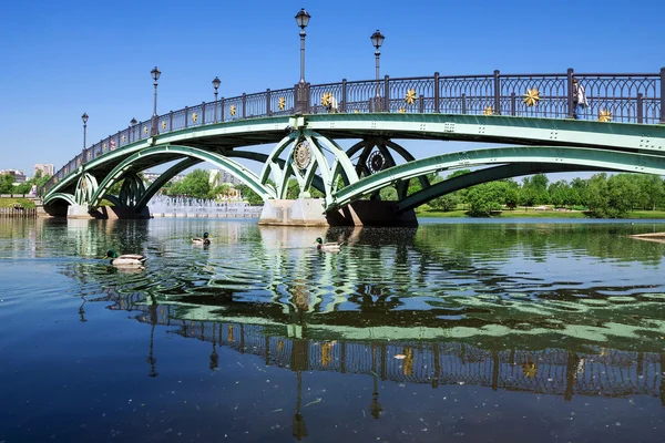 Pont voûte en Tsaritsyno, Moscou, Russie — Photo