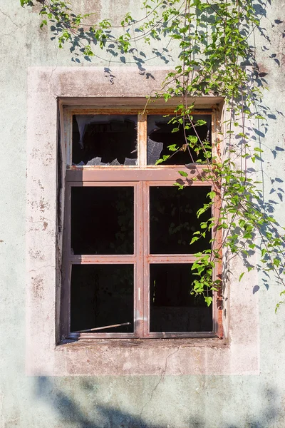 Σπασμένο παράθυρο του ένα ερειπωμένο σπίτι — Φωτογραφία Αρχείου