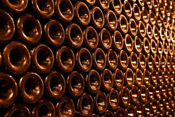 Vintage bottles in the wine cellar — Stock Photo, Image