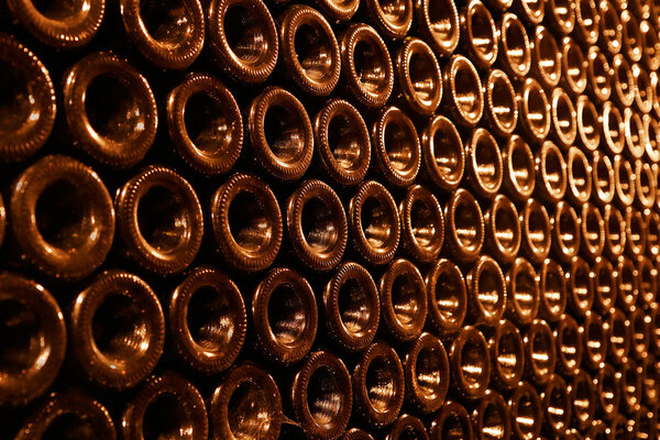 vintage bottles in the wine cellar