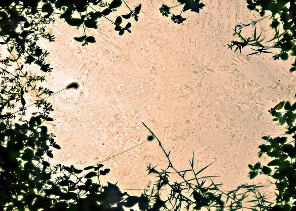 floral ornament on a dirty glass