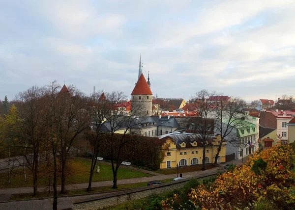 Foggy morning in Tallinn — Stock Photo, Image