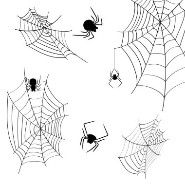 Örümcek ağları ve örümcekler beyaz bir arka plan üzerinde