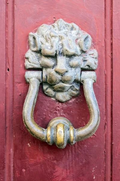Vintage iron handle a lion on an old door — Stock Photo, Image