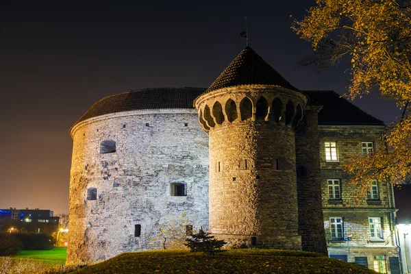 Tower Fat Margarita in Tallinn, Estonia — Stock Photo, Image