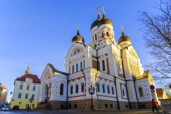 Tallinn, Estonya 'daki Alexander Nevsky Katedrali — Stok fotoğraf