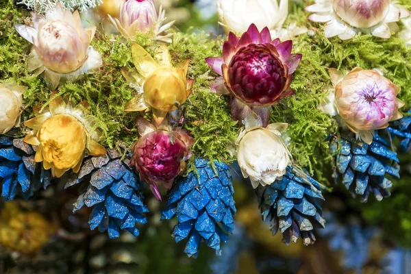 Christmas wreath with blue cones — Stock Photo, Image