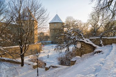 Tallinn kalede kışın, Estonya
