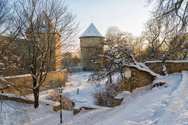 Зимняя крепость в Таллинне — стоковое фото