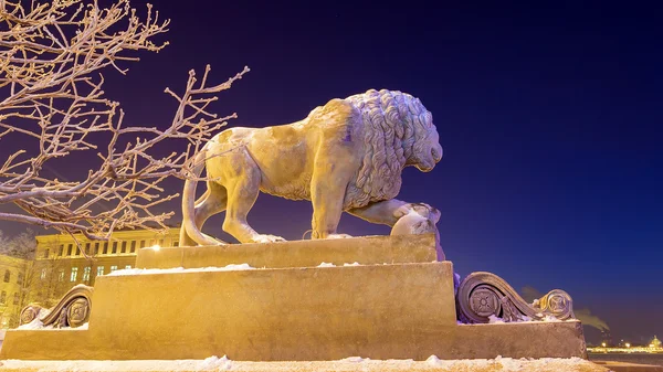 Lion on the Admiralty embankment in Saint-Petersburg in winter — Stock Photo, Image