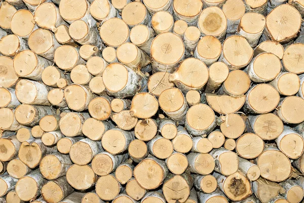 Sfondo di tronchi di betulla — Foto Stock