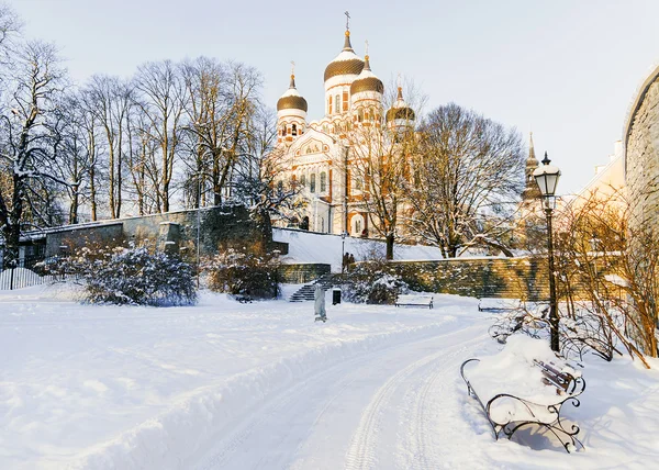 Церковь Александра Невского в Таллинне зимой — стоковое фото