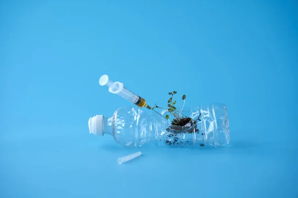 A used plastic bottle containing a fragment of soil with sprouts. A syringe will be inserted into the bottle. Concept: Planet pollution kills plants. Copy space.