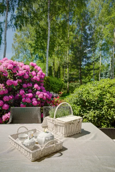 Picknick-Set im Hausgarten — Stockfoto