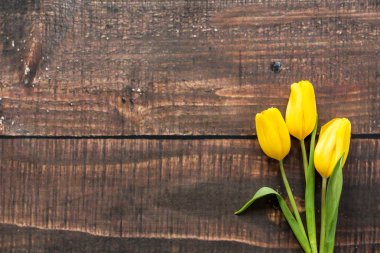 Benim en sevdiğim çiçekler? Definitelly Lale!