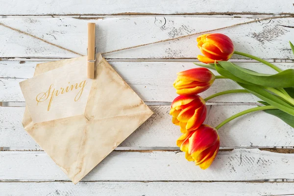 Puedo sentir la primavera en el aire ! —  Fotos de Stock