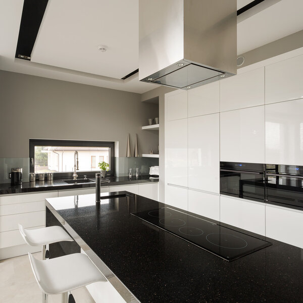 Fancy black and white kitchen