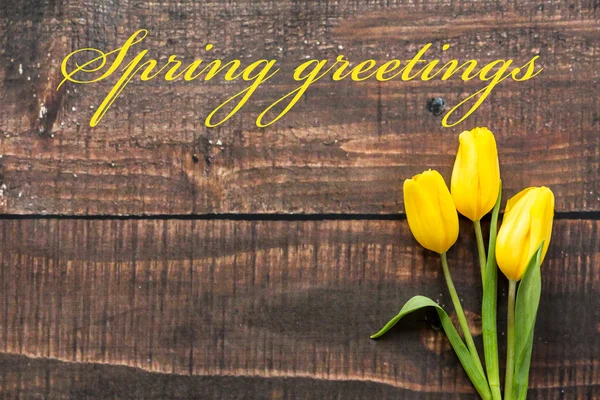 Wish you happy first day of spring! — Stock Photo, Image