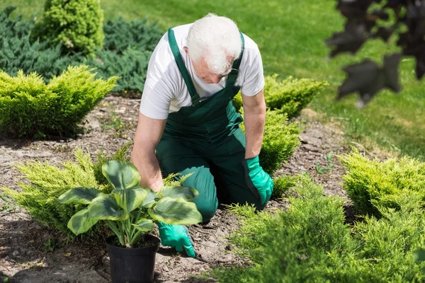 Cura per il giardino — Foto Stock