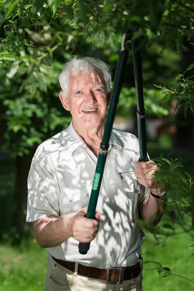 Werken met de schaar — Stockfoto