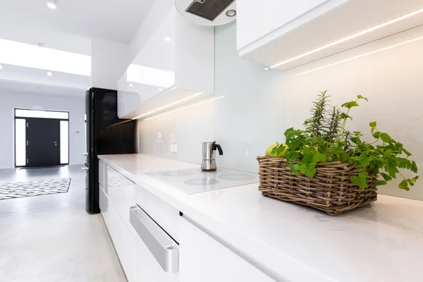 Herbs in the kitchen — Stock Photo, Image