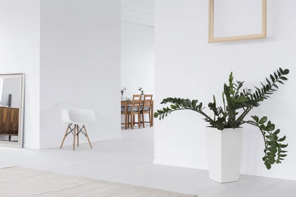 Bílé moderní design obývací pokoj — Stock fotografie