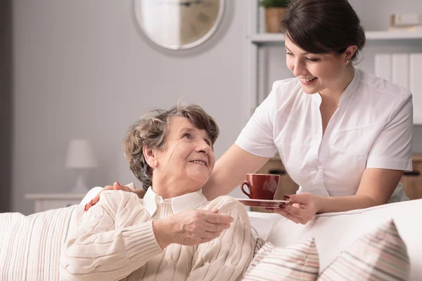 Betreuerin serviert den Tee — Stockfoto