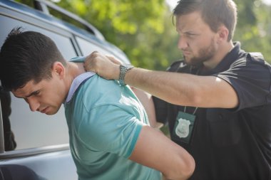 Profesyonel polis memuru 