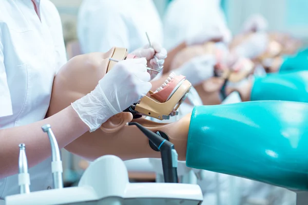 Primer plano del estudiante de odontología en las clases —  Fotos de Stock