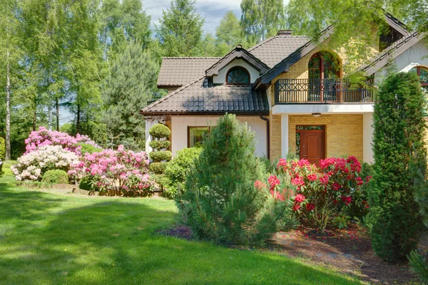 Cortile posteriore della casa — Foto Stock