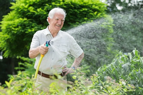 Jardinier arrosant les plantes — Photo