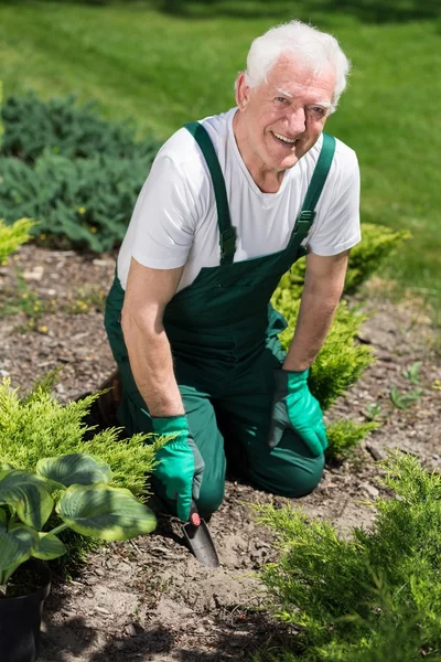 Συνταξιούχος άνθρωπος καλλιεργεί τον κήπο — Φωτογραφία Αρχείου
