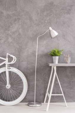 Beyaz gri Oda süslemeleri