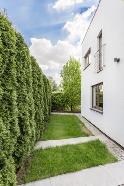 Mimarlık doğa ile uyum içinde