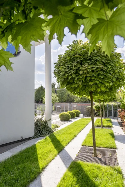 Blandning av natur och arkitektur — Stockfoto