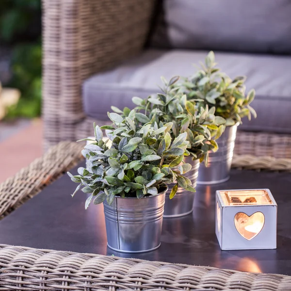 Bloempotten op de tafel — Stockfoto