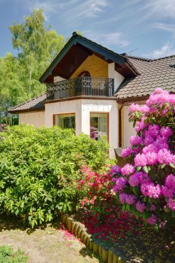 Bahçedeki çiçekler