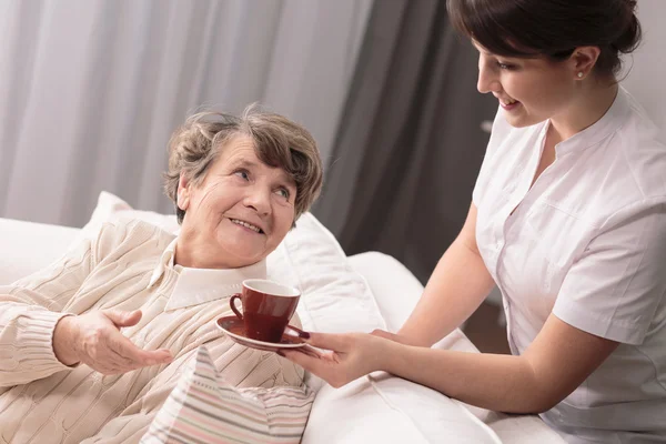 Hora de tu tisane — Foto de Stock