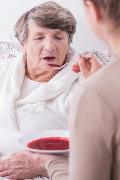 No es una pena que necesites ayuda ahora. — Foto de Stock