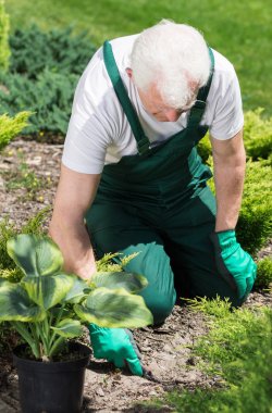 Görev bahçıvanlar için tipik