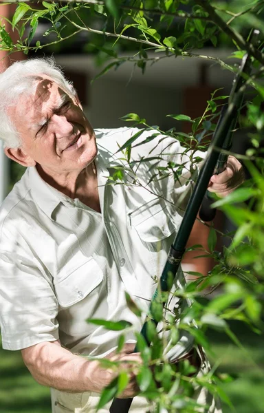 Taking care of plants grow — Stock Photo, Image