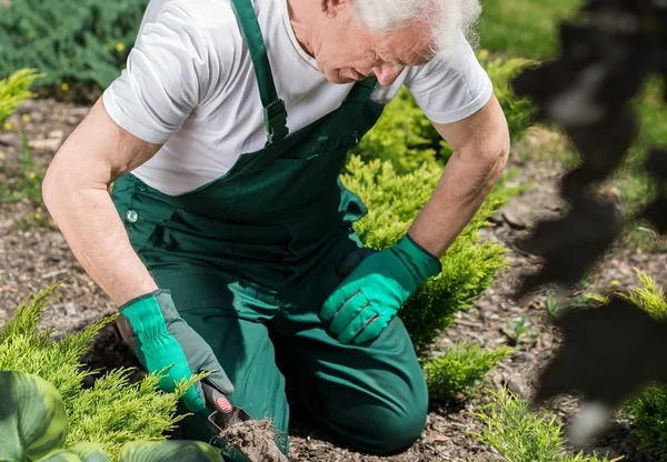 Stanco fuori dal giardinaggio — Foto Stock