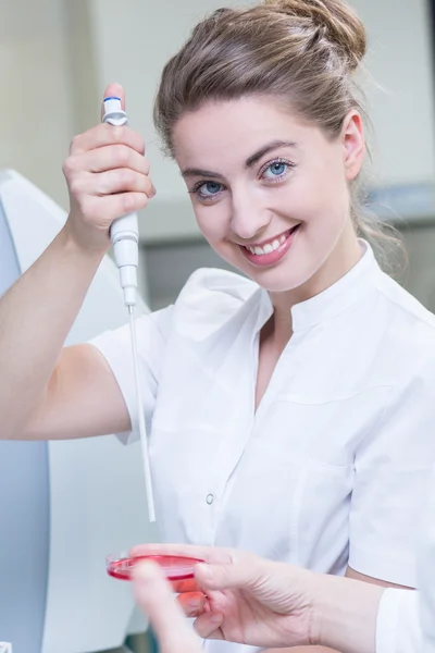 We zijn tijdens de testfase — Stockfoto