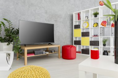 Tek bir adam için pratik modern dekor